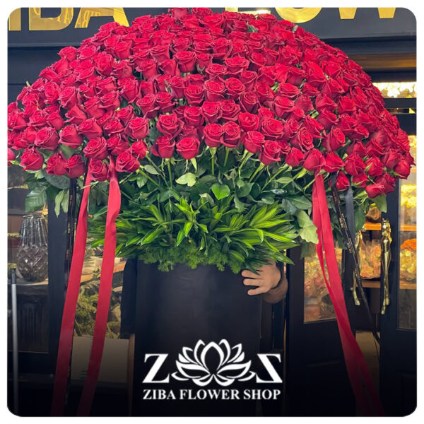 باکس گل رز مهتاب